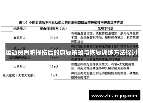运动员肾脏损伤后的康复策略与恢复训练方法探讨